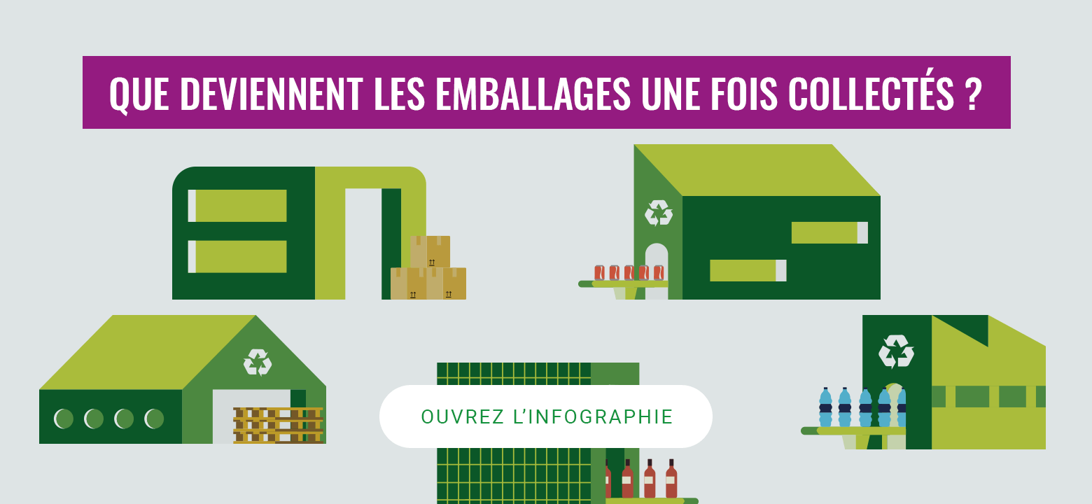 Collecte et recyclage des 5 flux de déchets en Ile de France