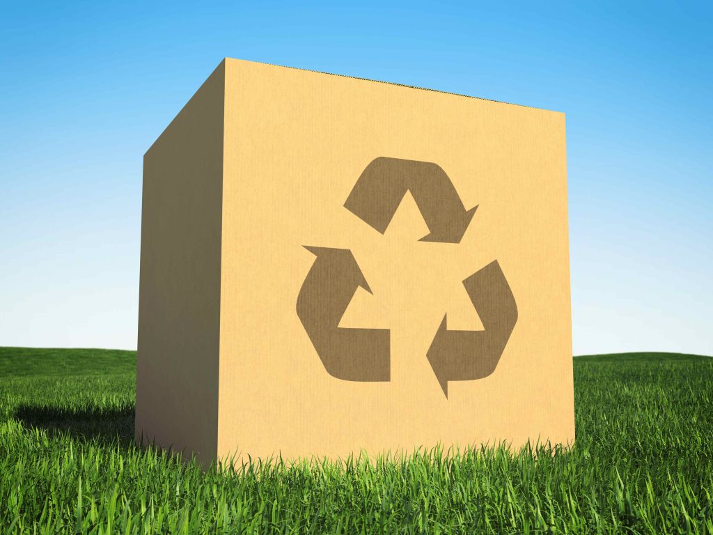 Le guide complet du recyclage des emballages