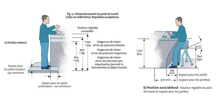 Ergonomie du poste de travail, assis et debout