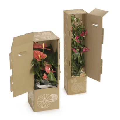 caisse-calage-integre-fleuriste