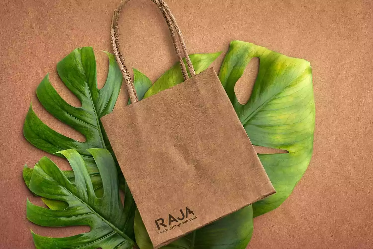 Packaging éco-conçu : définition et tendances