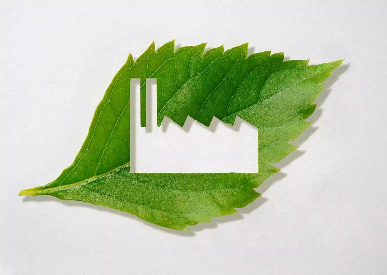Les pratiques éco-responsables à émuler pour une stratégie logistique à l'impact environnemental réduit
