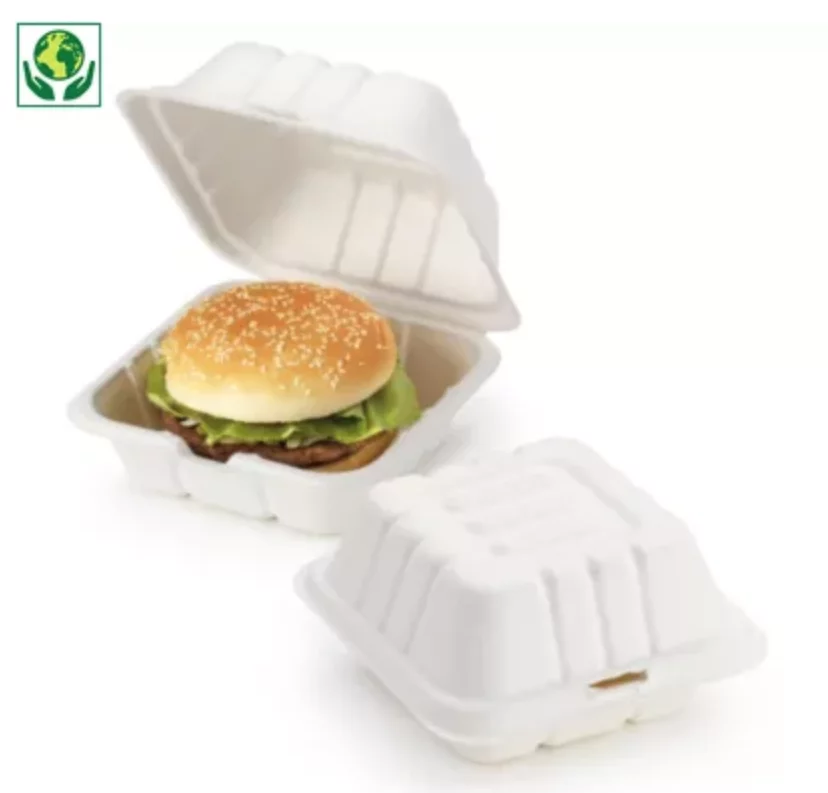 boite-coque-en-canne-a-sucre