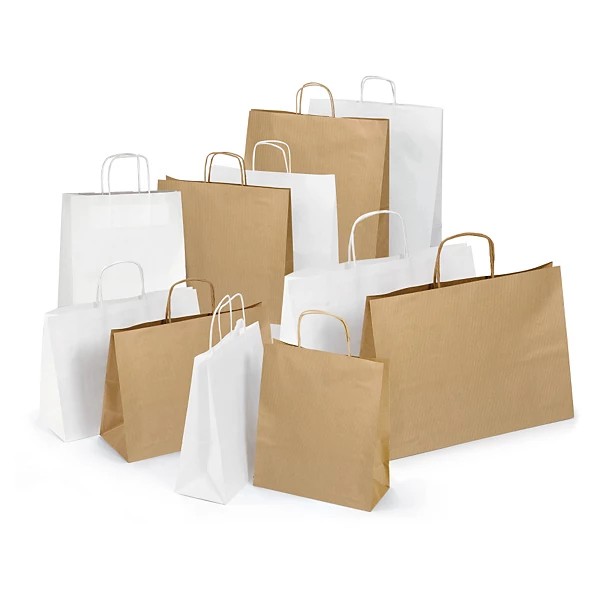 Sac kraft brun et blanc à poignées torsadées